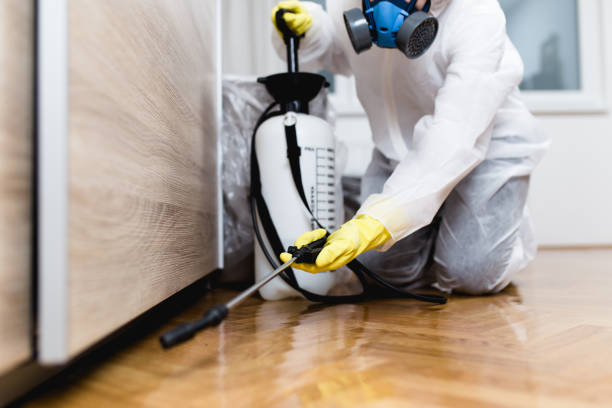 Best Mosquito Control Services  in Napoleon, OH