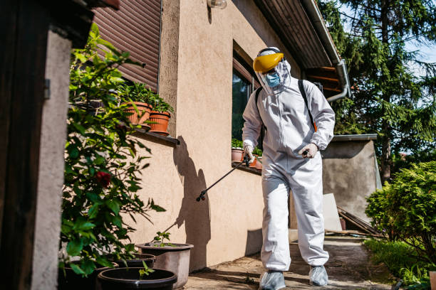 Best Bed Bug Extermination  in Napoleon, OH