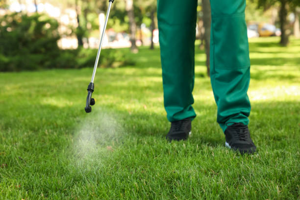 Best Local Pest Control Services  in Napoleon, OH