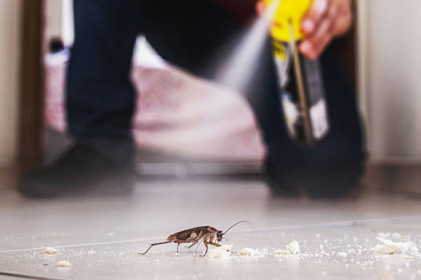 Best Best Pest Control Companies  in Napoleon, OH